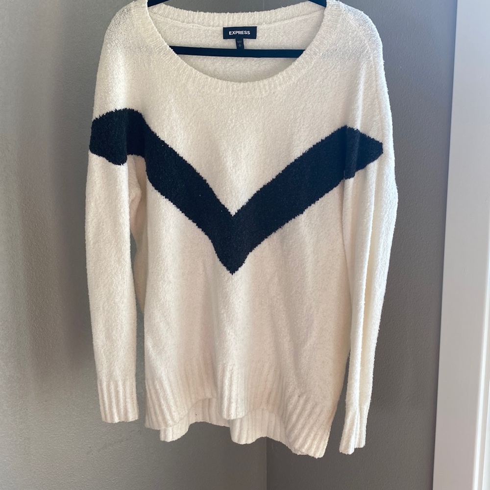 Express size small sweater